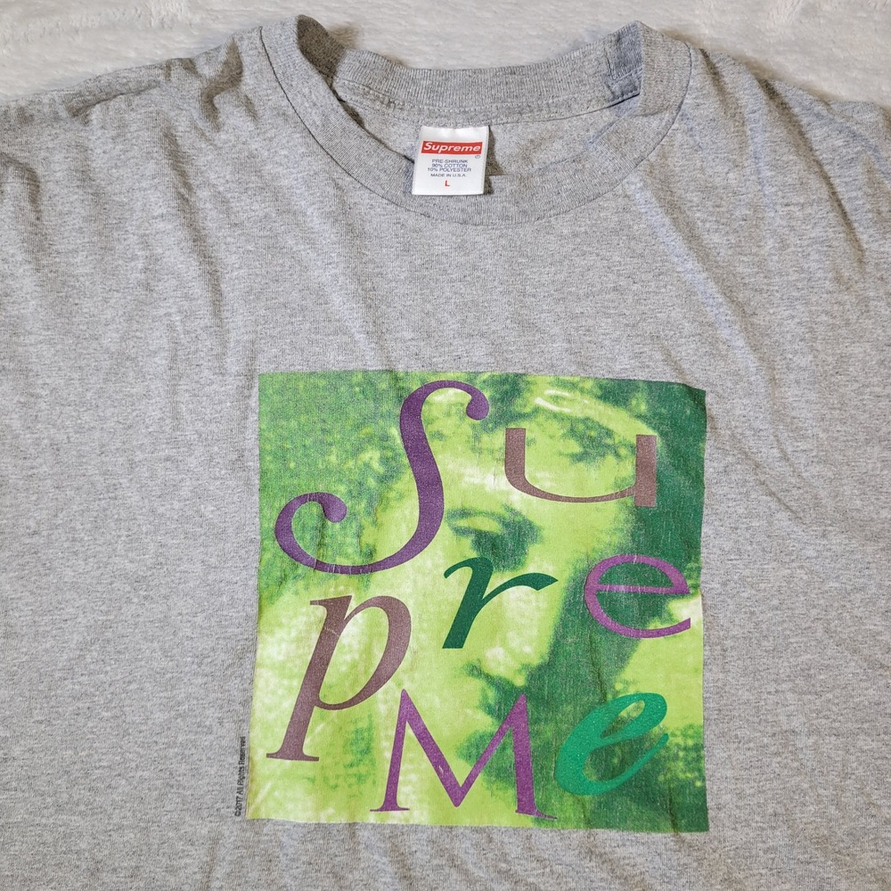 Supreme T-Shirt Mens Large Grey Venus Graphic Print 2017 Streetwear